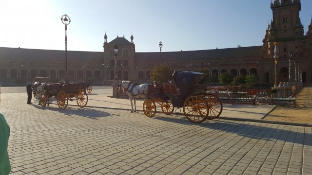 842 sevilla plaza de espana